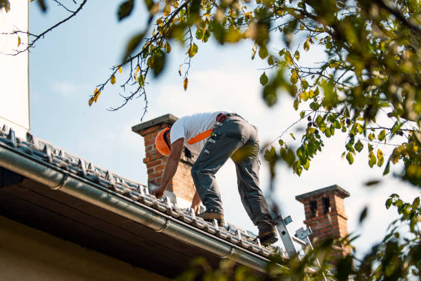 Best New Roof Installation  in Macon, IL