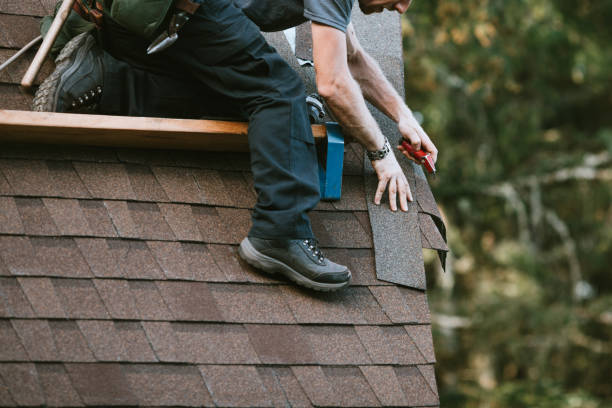 Best Roof Maintenance Services  in Macon, IL